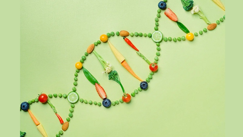 تغذیه شخصی‌شده و ژنتیک