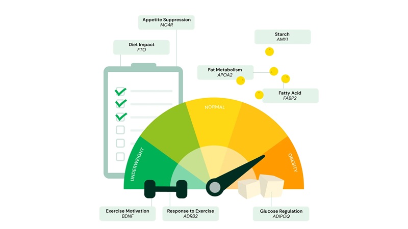 تست‌های ژنتیکی و بیومارکرها در رژیم‌های کاهش وزن