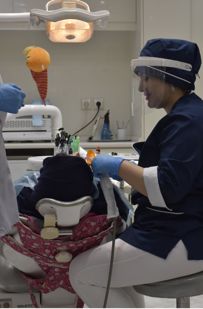 دکتر الناز مکانیک